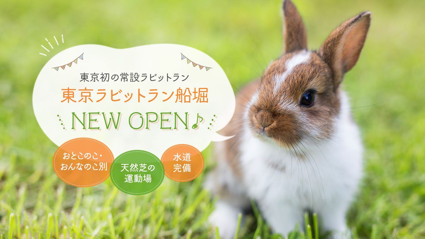 東京発の常設ラビットラン 東京ラビットラン船堀 NEW OPEN