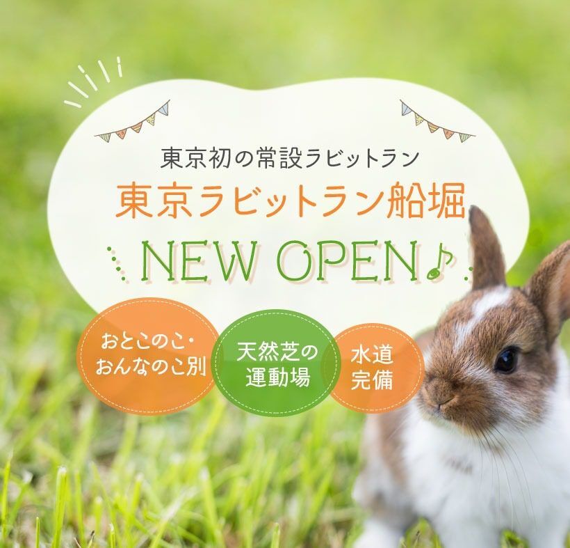 東京発の常設ラビットラン 東京ラビットラン船堀 NEW OPEN