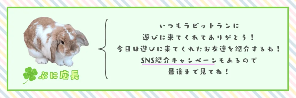 ぷに店長 「いつもラビットランに遊びに来てくれてありがとう!今日は遊びに来てくれたお友達を紹介するね!SNS紹介キャンペーンもあるので最後まで見てね!」